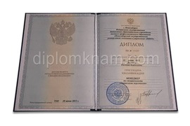 Диплом бакалавра о высшем образовании с 2012 по 2013 годы